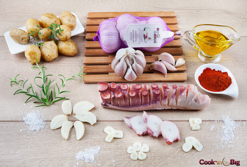 1-foto-pulpo-ingredientes_46_1
